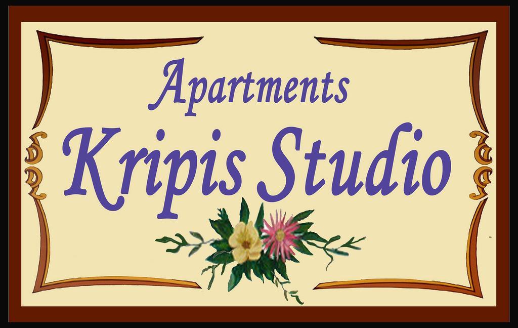 Kripis Studio Thessaloniki Apartamento Exterior foto